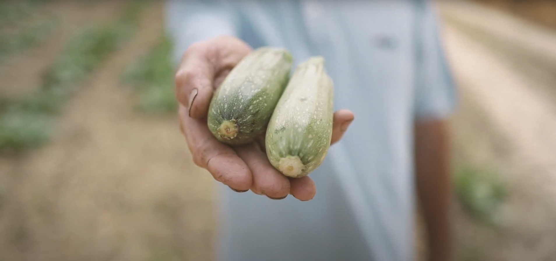 <strong>Arandis e Terremerse insieme</strong> per la creazione di valore nell’intera filiera.